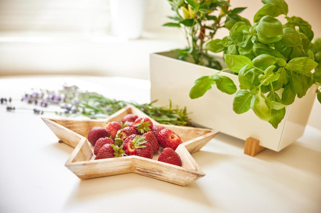 Apartmany Challupa Horní Maršov 외부 사진